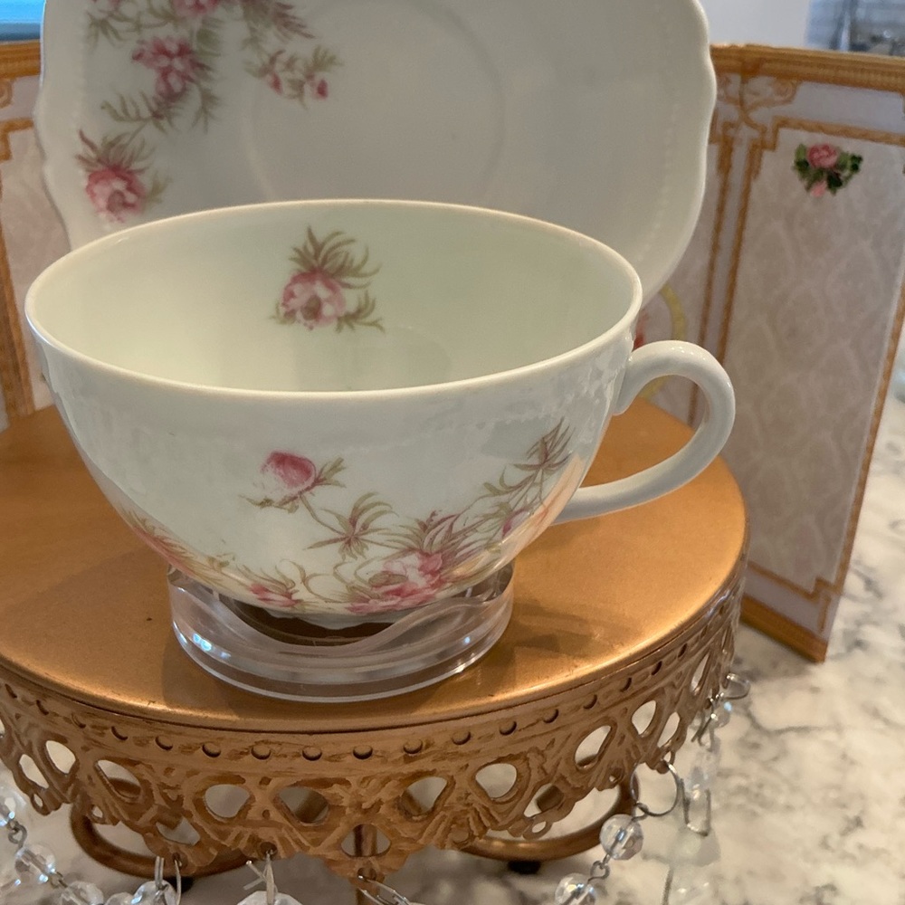 Vintage O AND EG ROYAL AUSTRIA  TEA CUP